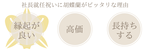 社長就任祝いのお花は胡蝶蘭が無難 これを読めば立札のマナーも完璧 胡蝶蘭のトリセツ