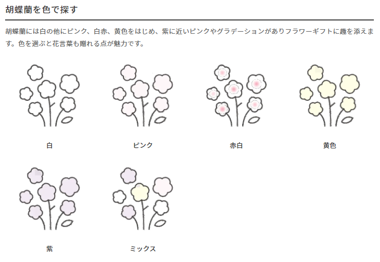 胡蝶蘭の種類を色 大きさ別に解説します 胡蝶蘭のトリセツ 胡蝶蘭のトリセツ